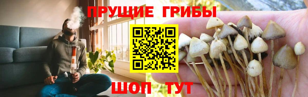 Галлюциногенные грибы мухоморы  Вход с VPN  Сунжа 